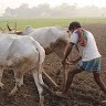K O N G U N A D U Radhakrishnan N