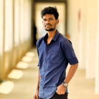 Vignesh P