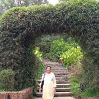 Sneha Marketing
