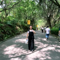 李海艳