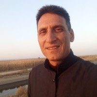 علي ذياب