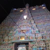 Kalai Ammu