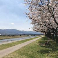 佐藤剛