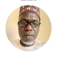 Bala Muhammad