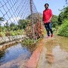 Krishna Kumar