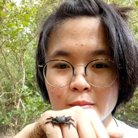 Ying Li Lee