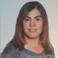 Ebru İMİR
