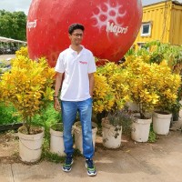 Hardik Palavwala