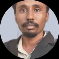 Ahmed M. Ali