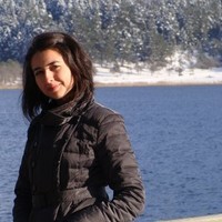 A. Cansu Işıdı