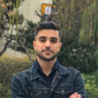 Hamed Ersi