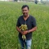 Manju R