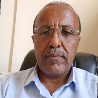 Mekoya Terefe