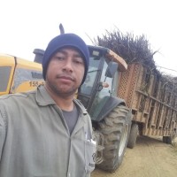 Gildemar Alves Dos Santos