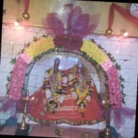Bunty New