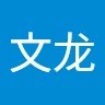 井文龙