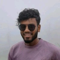 Gokula Krishnan P