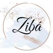 Ziba (BD) Store.