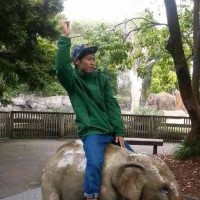 Yuto Tobikawa