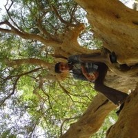 jayesh Prajapati MTA