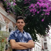Ali J. Gangeh