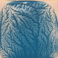Marcia Codner