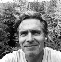 Dave Cook