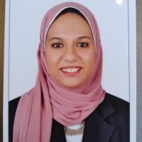 Noha Saeed