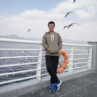Yang B.