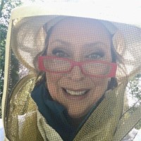 Lisa Bartlett