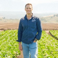 Danny Bernstein