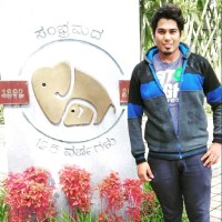 Arunraja R S