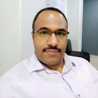 Adel George Bushra