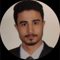 Mohsen Hegazy