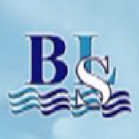 Blue Line Shipping and Cargo LLC