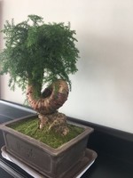 范培祥