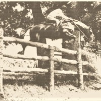 federico roman