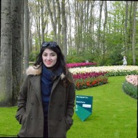 Qurrat ul Ain Usmani