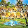 Jamil Jamil