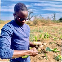 Mouhamadou Bachir TOURE