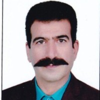 arash salari