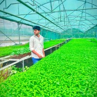 SAJID UR RAHMAN