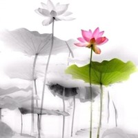 吴为民