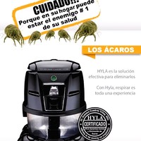 Wiliiam Chavez Angulo