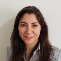 Raz Saremi, Ph.D.