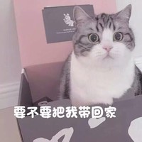 孙令恺