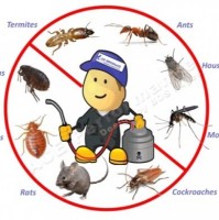 Pest Control