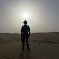 Ahmed Ashour