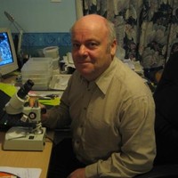 David Whiteside