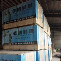 白文革